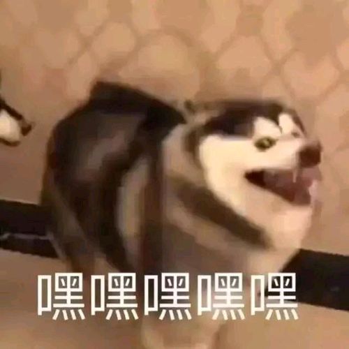 长春下雪了,真的不来看看吗