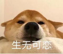 因为这个原因日本实体店把电商踩在了脚下
