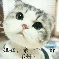 两边都要亲亲表情包