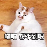 动物叫妈表情包原图