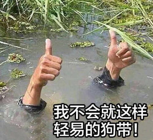 你瞅啥图片搞笑表情包喝酒