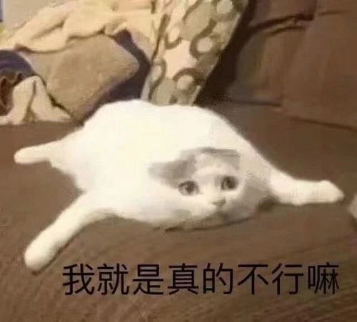 热门表情包图片帮闺蜜好好减肥,教你一招