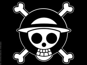 海贼王的草帽黑白海贼旗