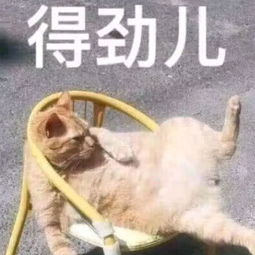 最近火了不服气表情包,再给你一拳,让少女瞬间不敢说话