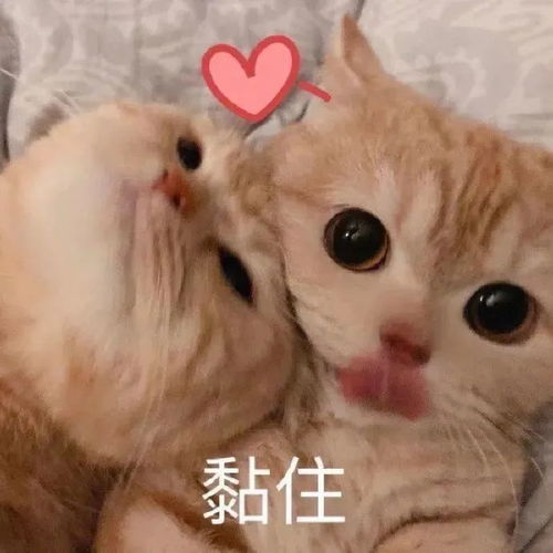 小布说天气小布的七夕仪式感,安排上了