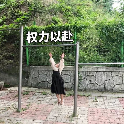 权律二表情包你女朋友生气的全过程