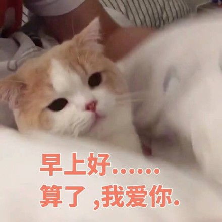早上好表情包早上好微信表情包早上好qq表情包发表情fabiaoqing.com
