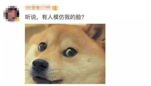 怎么认表情图狗头