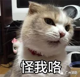 静电起火瞬间点燃司机自助加油时你注意到这些问题了吗