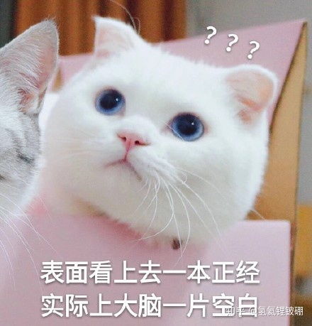 平平无奇的恋爱小天才