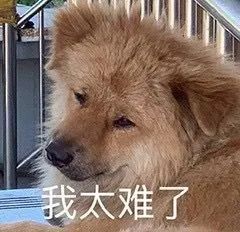 表情包仙女下凡,命犯桃花