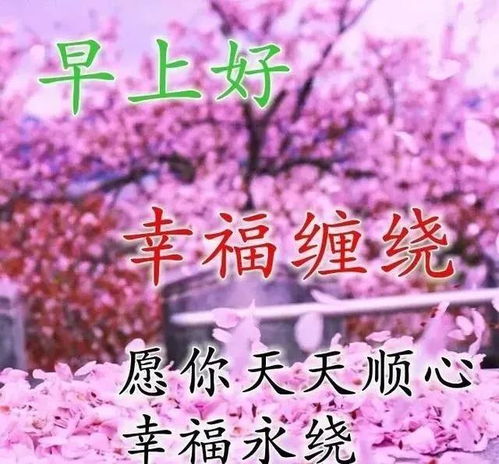 寒冷清晨最美早上好漂亮问候语美图,早安带字带表情的祝福语