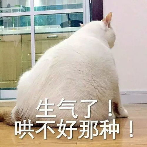 这所英国大学怒了我们不是牛津剑桥的备胎