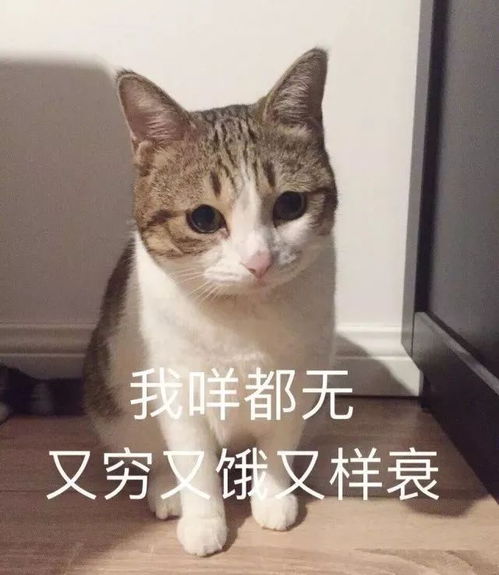 黑了心的ysl联名阿尔卑斯糖的迪奥今年的大牌被下了咒