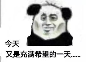 微信套路表情包找了很久的40个卖惨表情包,聊天好用
