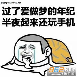 正在排便的表情包玩手机