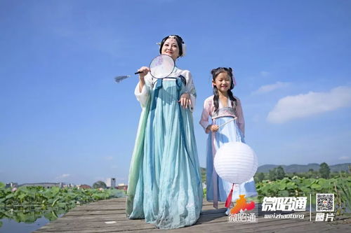 秋城荷花竞绽放美丽仙子下凡来组图