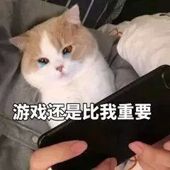 表情包丨我就算冻死在冬天里也要说,阔落不冰怎么喝