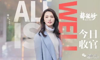 一支牙刷就能让姚晨再上事业巅峰