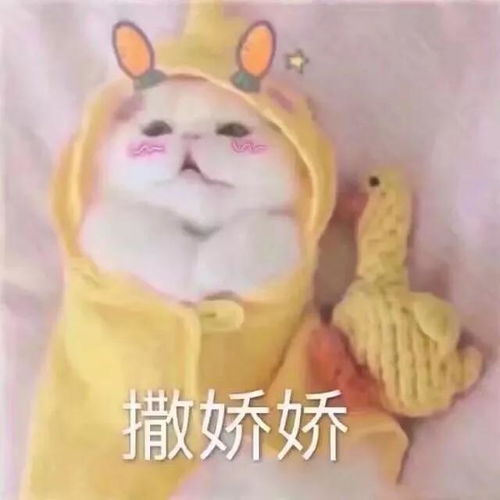 魔兽世界中那些戳中你泪点的人物2