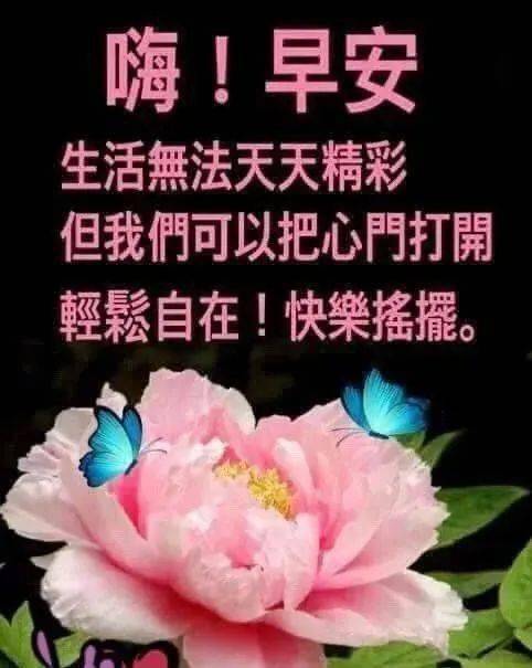 入冬早安问候祝福语短信,漂亮的美女真人早上好问候图片表情