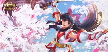 300英雄表情包娜可露露