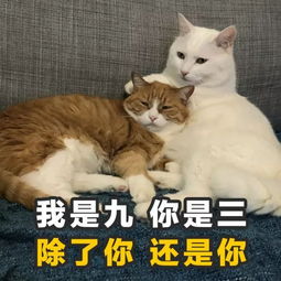 让自己走在潮流前端的土味情话撩人表情包