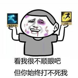300英雄表情包最强
