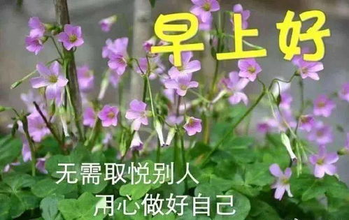 微信非常好看早上好动态表情图片,新版朋友圈早安祝福问候鲜花表情包