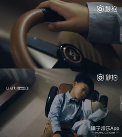 还记得我们的表情包咕咕宋民国吗他和他的兄弟们都长大啦