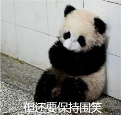 熊猫心跳的表情包伤心
