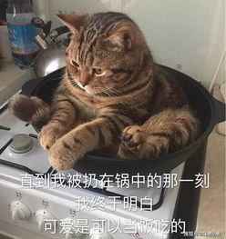 女生不化妆的原因是什么真相扎心了...