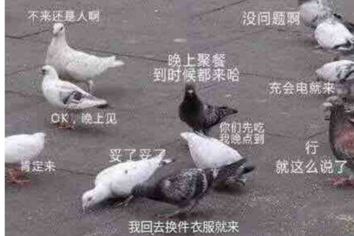 你生平用过最沙雕的表情包是什么