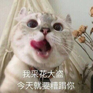 神剧吐槽之娘道爷爷辈眼中的罗曼蒂克爱情史