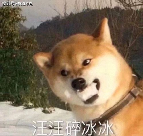 宅在家的时光,就由电竞nas来丰富吧