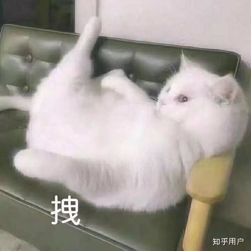 为什么网文现代言情大多重生系统