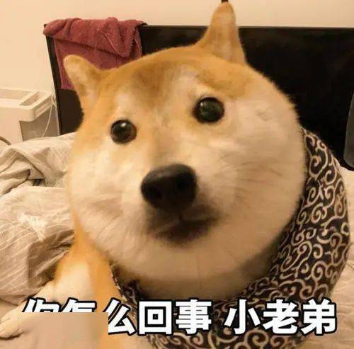 但凡前任聪明点,他也不会成漏网之鱼