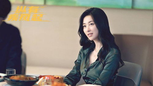 靳东纵有疾风起将袭,阵容雄厚,7月底开播或再掀收视狂潮