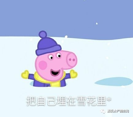 知否知否,降温幅度超10水产人的春运回家路上,总有冷空气在捣蛋,降温不止雨雪不休......地区