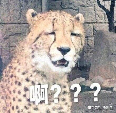为什么说买手机不一定要买苹果,但买平板必须买ipad