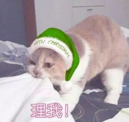 今晚修仙表情包我就是你
