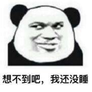 熊猫头熬夜修仙表情包原来你说的早点睡,是吃了早点再睡