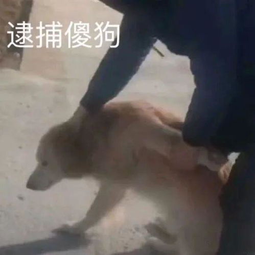 第一眼看到就喜欢的女生男生改该追吗