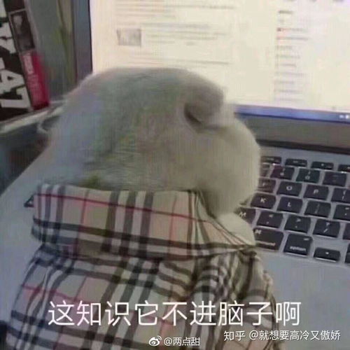2020考研学科数学考研院校分析和备考经验