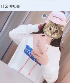 抖音爆款热图大合集