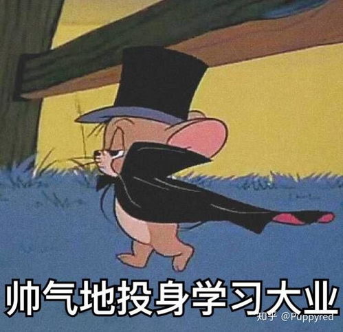 摔笔表情包路过