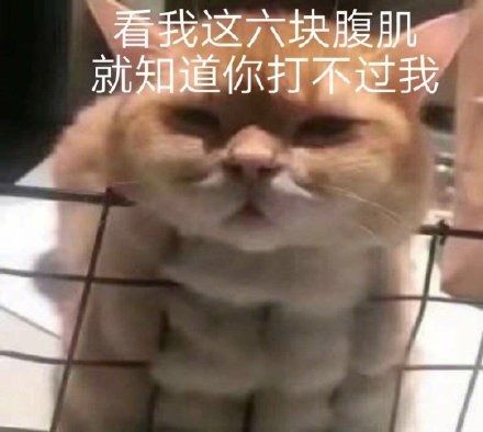 游戏评测