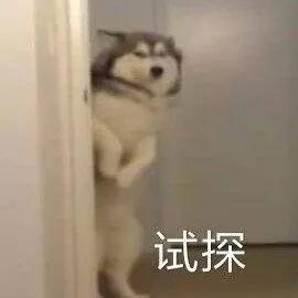 咬表情包隆都
