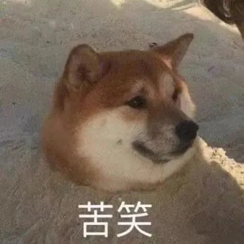 今日沙雕表情吧包就是他