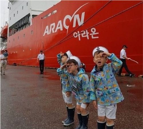 还记得我们的表情包咕咕宋民国吗他和他的兄弟们都长大啦